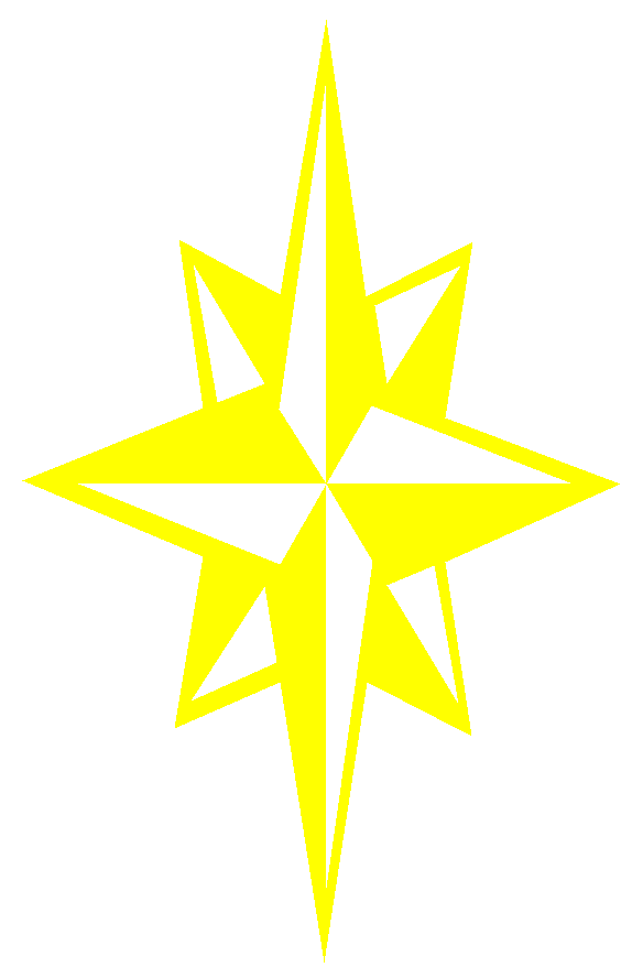 Star Gun Company Logo ©